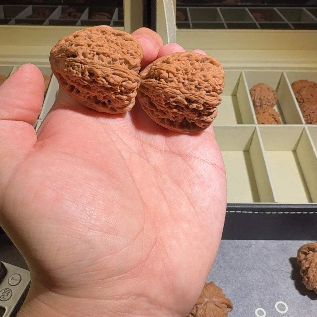 B***e大叶紫檀（黑酸枝木类）