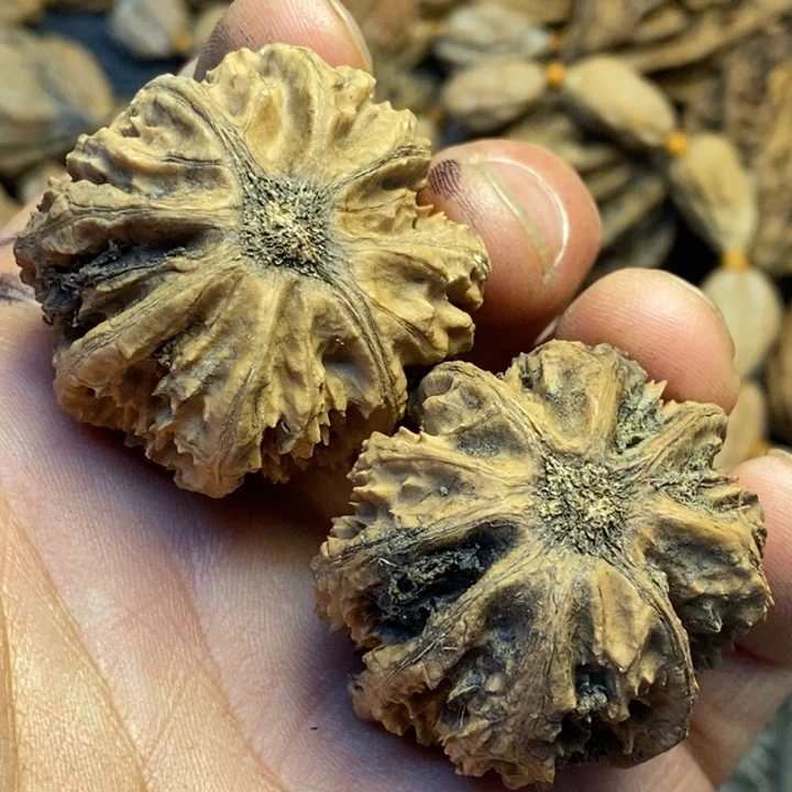 心***凉吊坠文玩核桃娜姐142