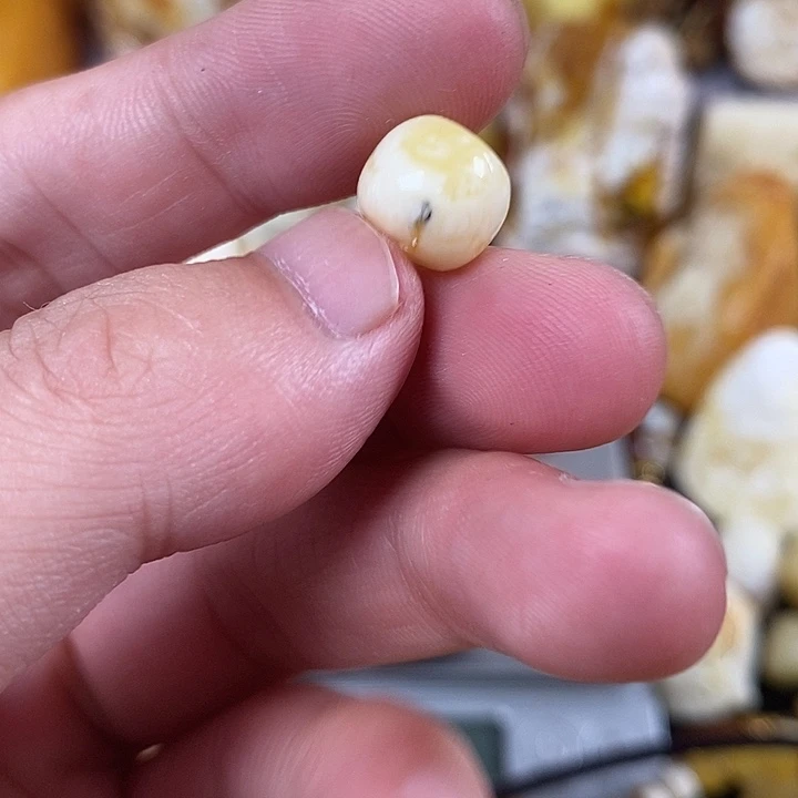 未镶嵌琥珀裸石我