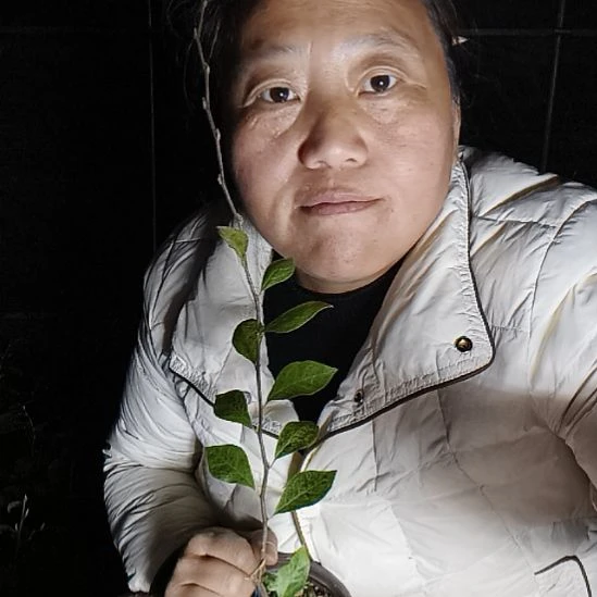 乔***爷无花朵1255756585888