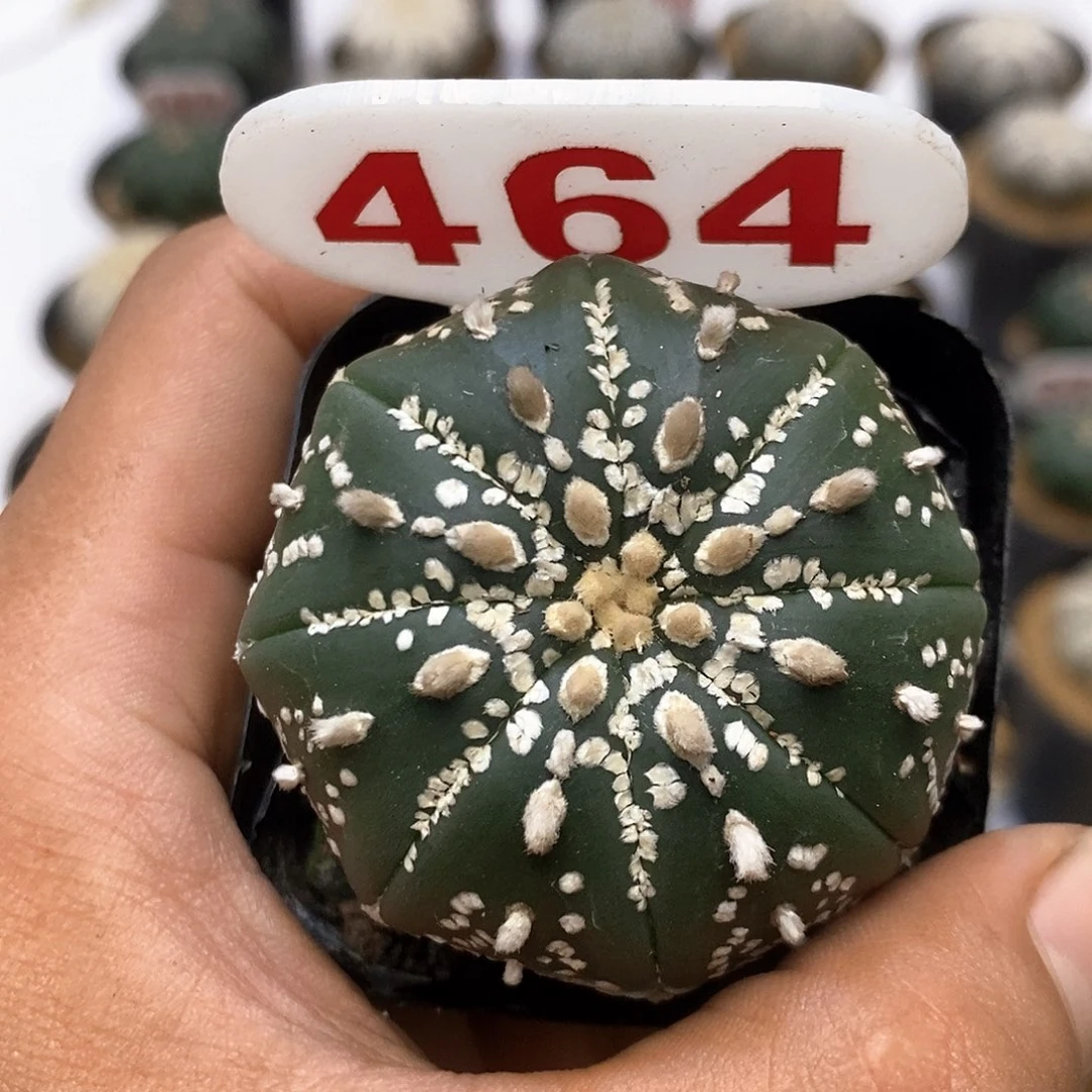 464福利特价咯福利特价咯