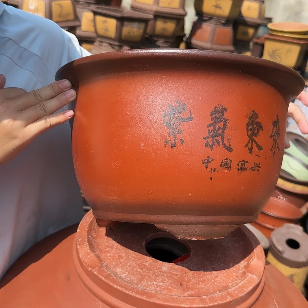 30紫气东来花盆花盆花盆