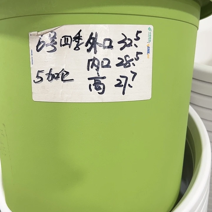 特价6号口32.5高27白色7只无托