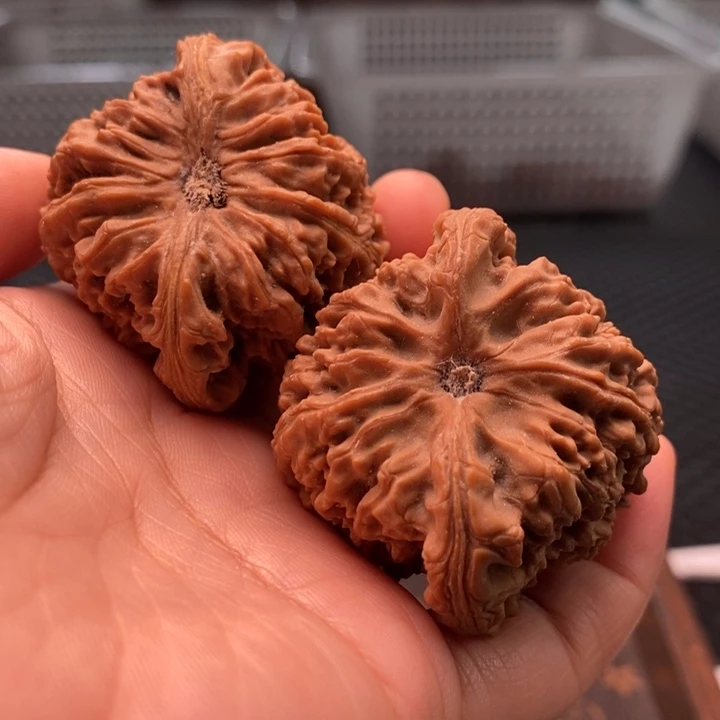 把件文玩核桃涿鹿45尺