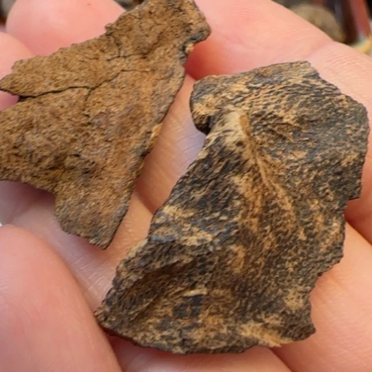 别***恙沉香摆件海南野沉水包头2.5克