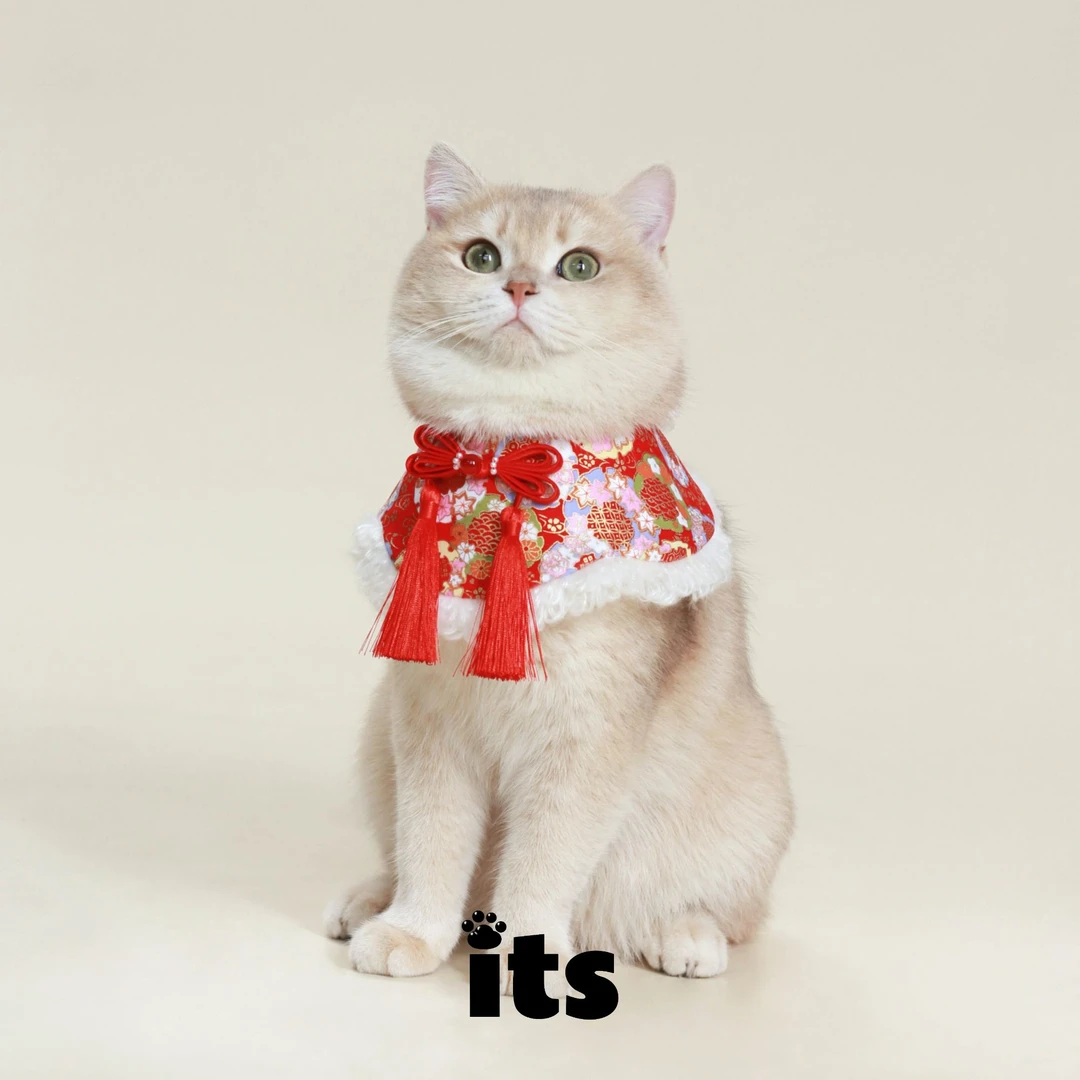 its一时一世宠物装扮口水巾新中式猫咪新年围脖大型犬喜庆配饰