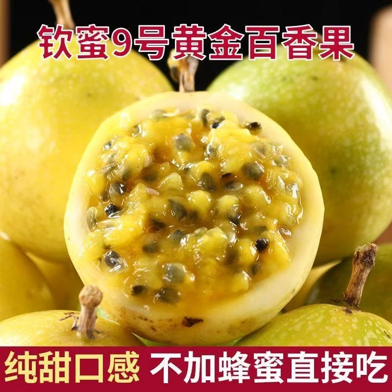 新鲜现摘钦蜜9号百香果当季水果多汁香甜
