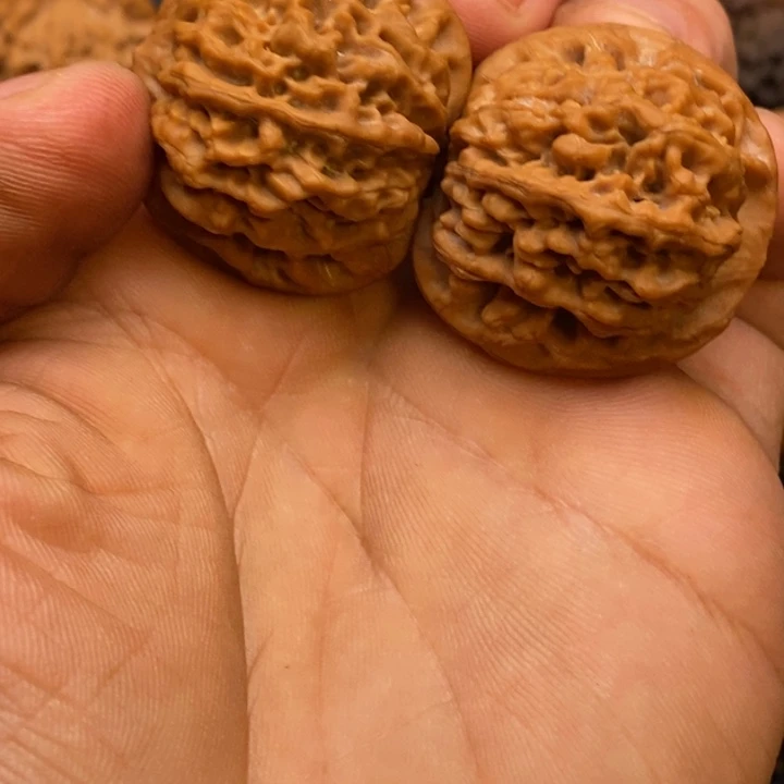 秦岭赵赵文玩 秦闷34全品