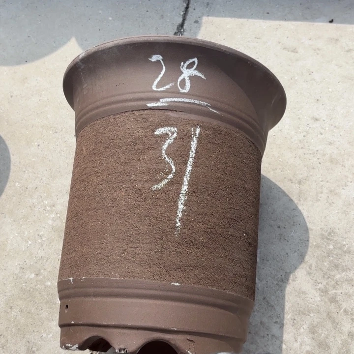 紫砂花盆紫砂的花