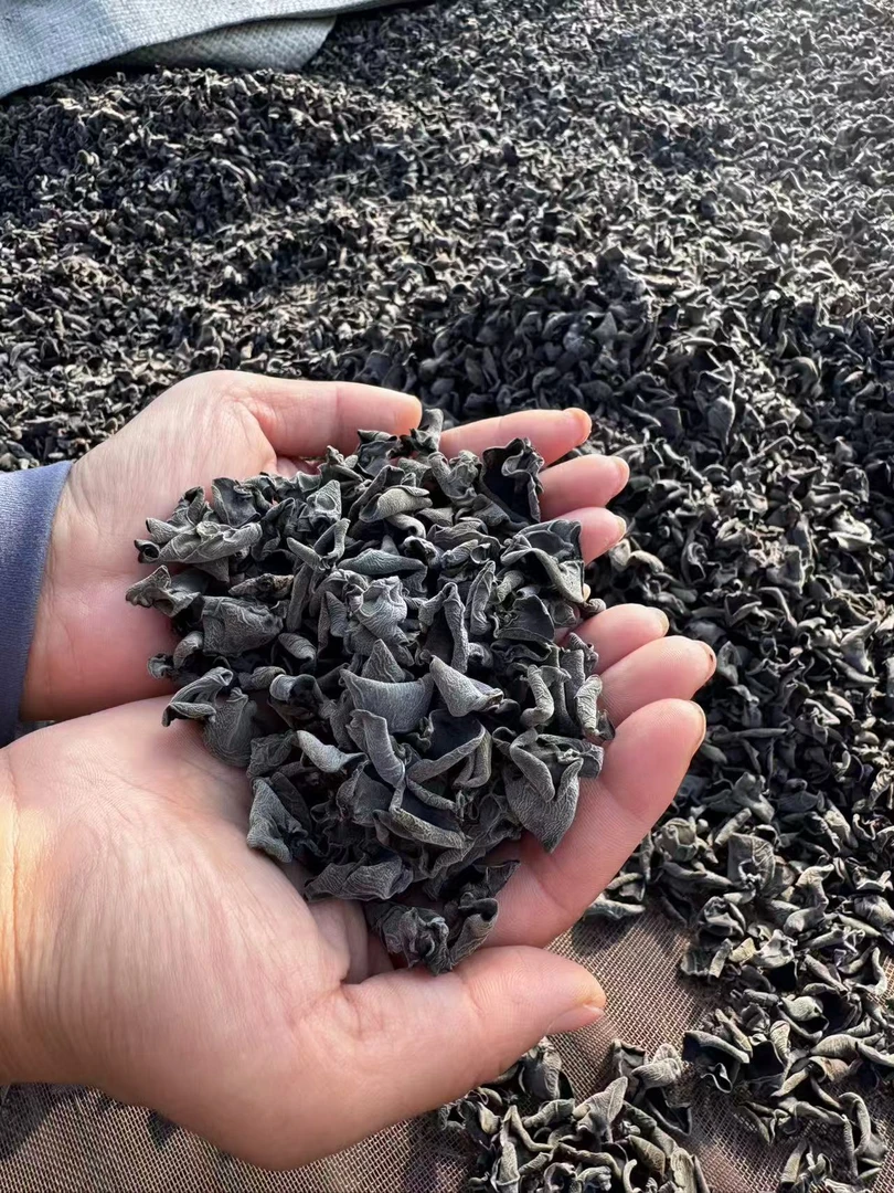 东北头茬黑木耳秋耳肉厚干净无根
