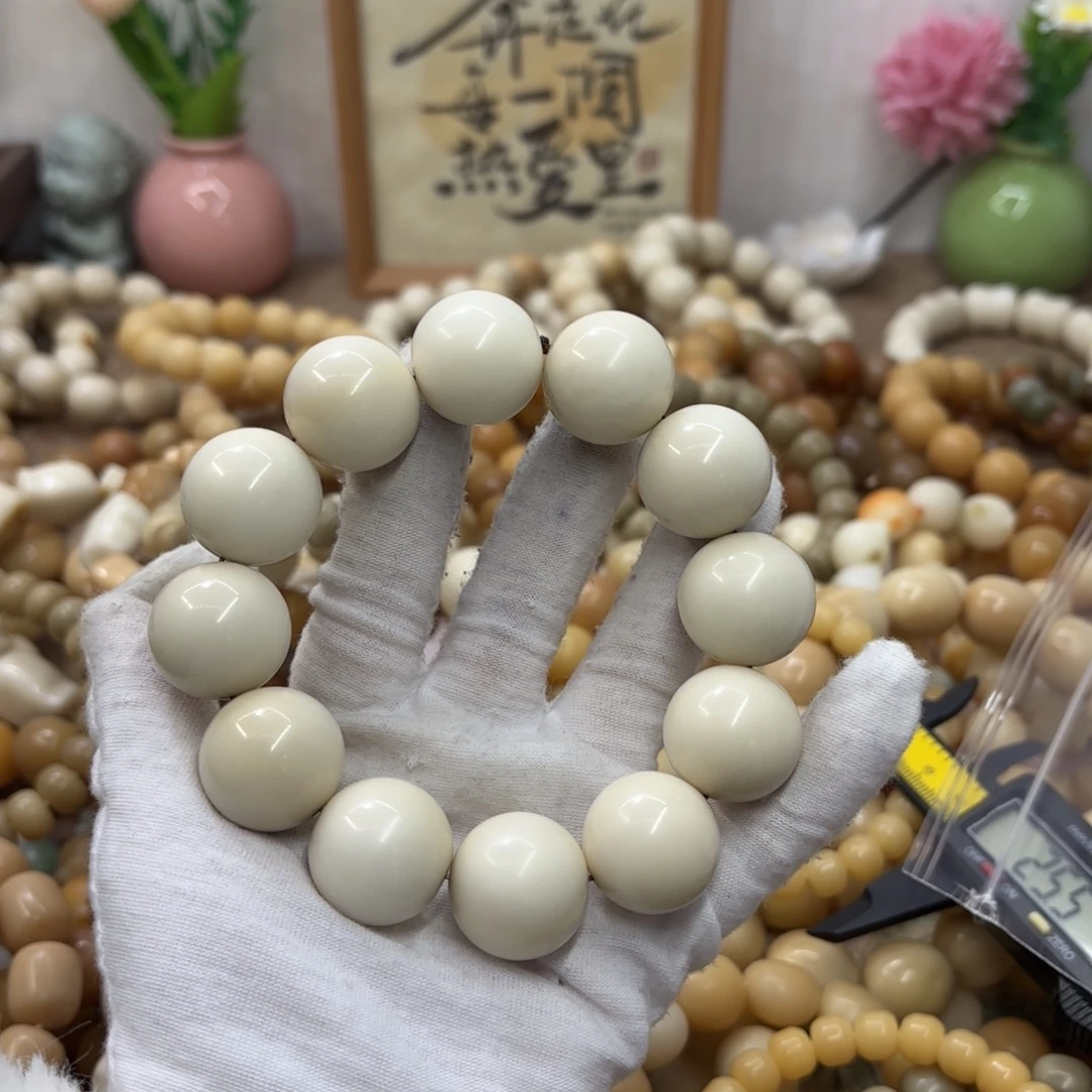 吊坠菩提根/象牙果22干磨瑕疵牙果圆珠732