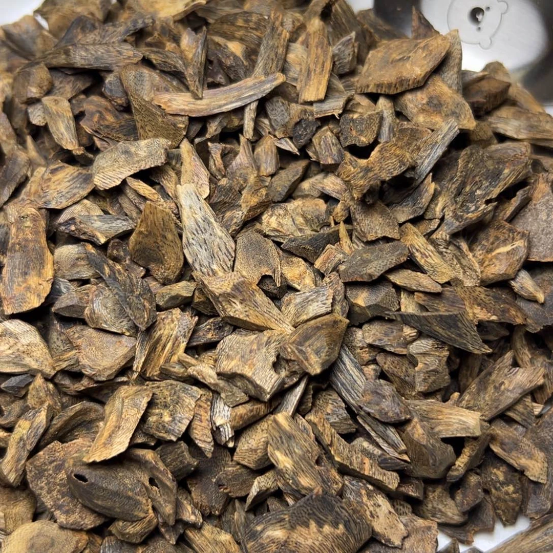 小***学树脂制品海南树丁留疤料102克