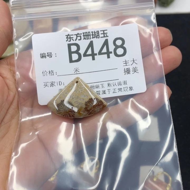 硅化珊瑚（珊瑚玉）颈饰合金用****舞