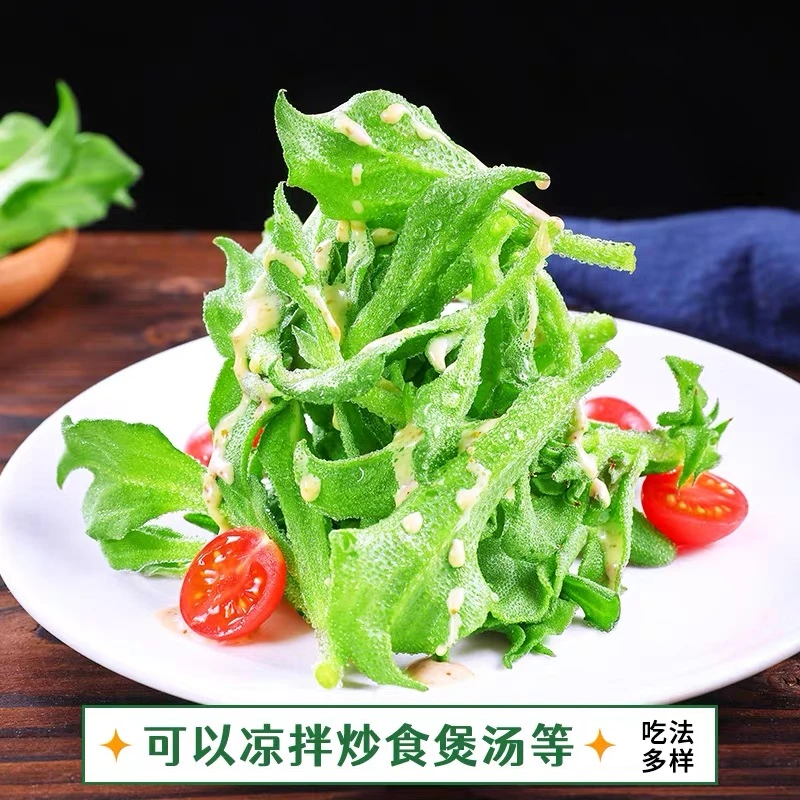 【顺丰包邮】鲜嫩冰菜新鲜水晶冰草酒店西餐厅沙拉冰草凉拌火锅冰菜
