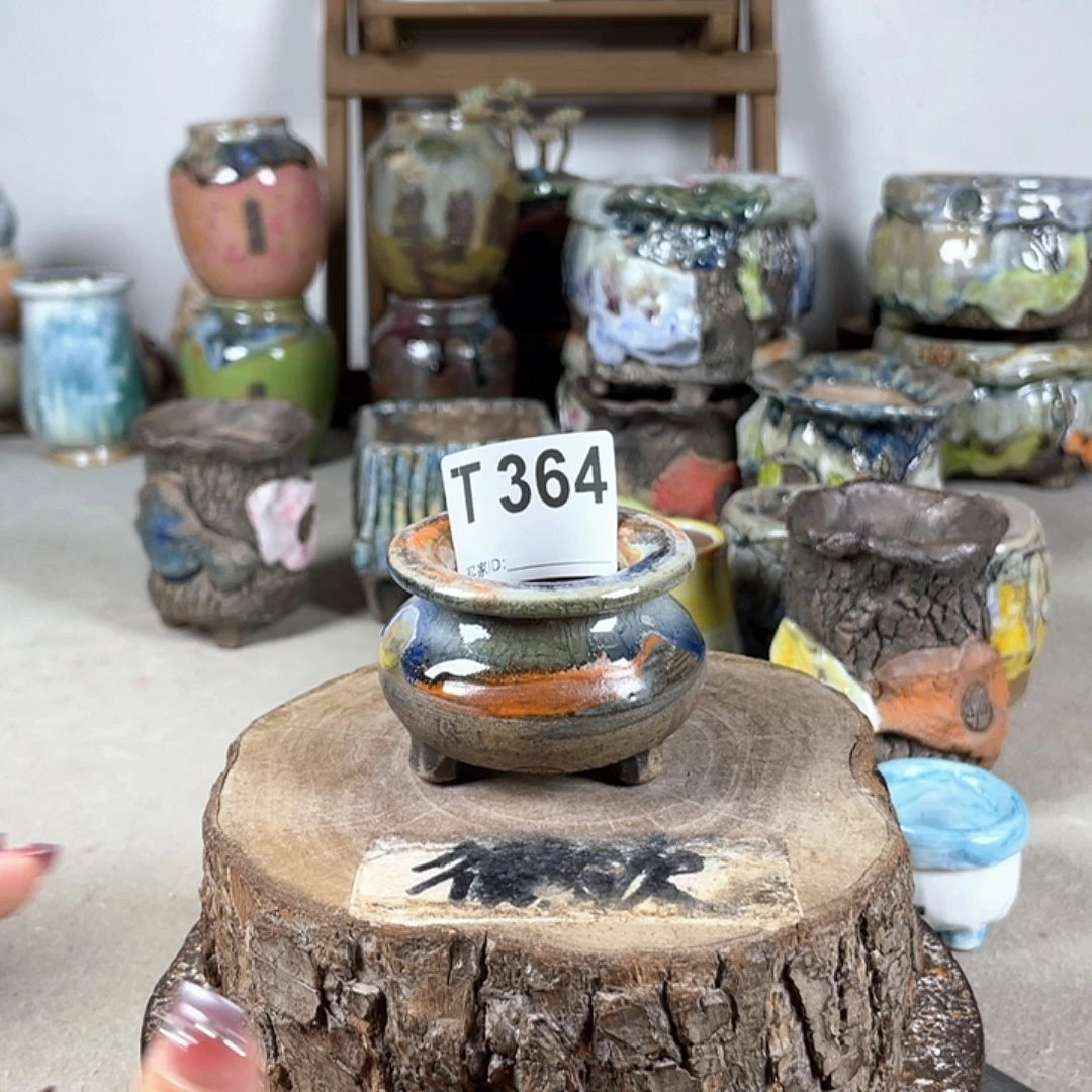 紫砂花盆开播福利 陶瓷花盆