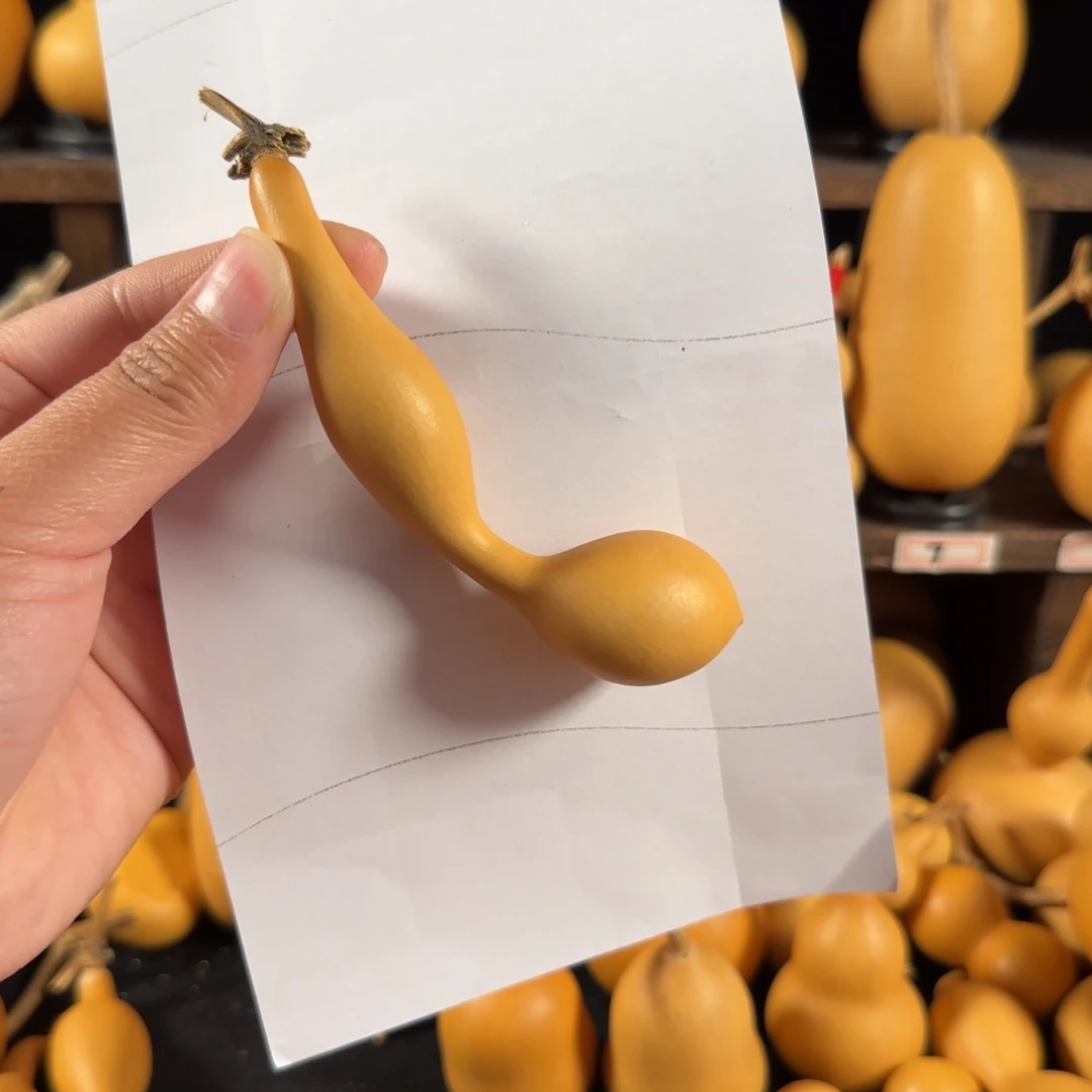 。*葫芦葫芦葫芦葫芦葫芦