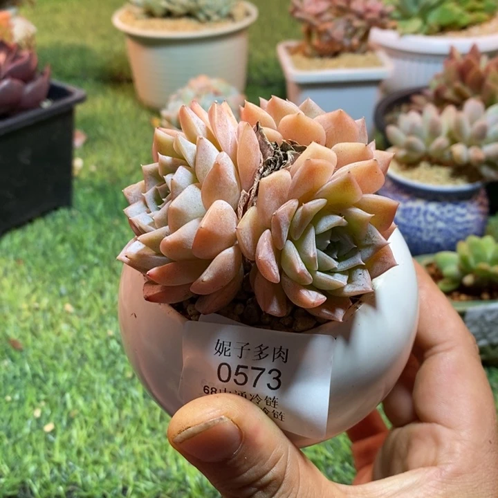 0573啊啊啊啊啊啊啊啊啊