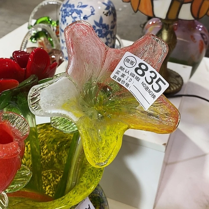 星***赐夜光花高43厘米左右