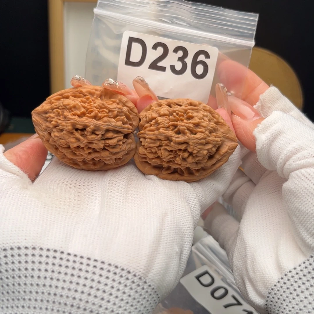 文玩核桃把件39蚂蚁王d236