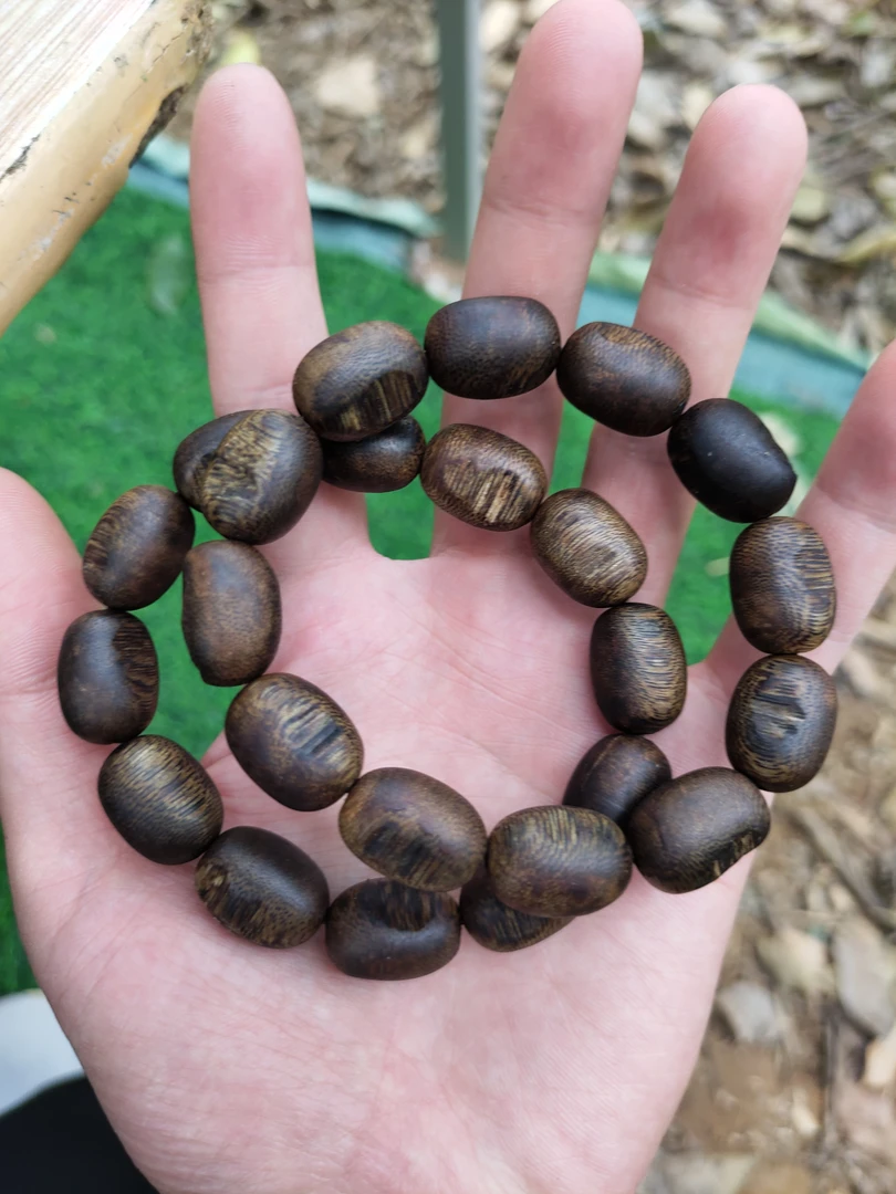 奇楠沉香瘤疤1.3单圈13g+多样性发一