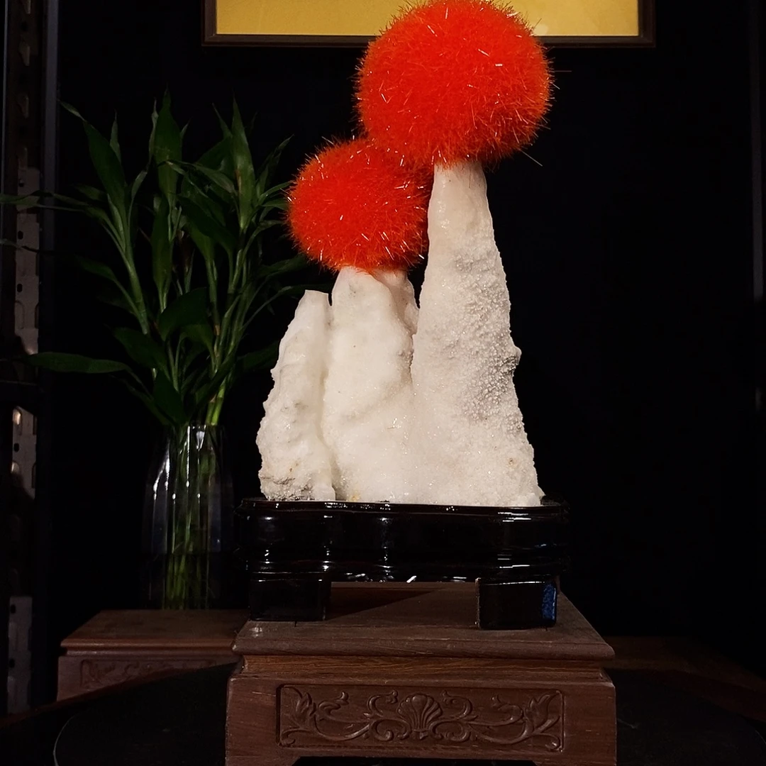 镜***化石头漂亮漂亮好看漂亮