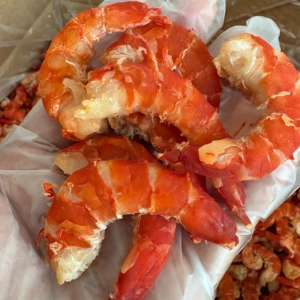 纯野大号九节虾仁干广东湛江特产即食大海米海鲜干货活虾现烤