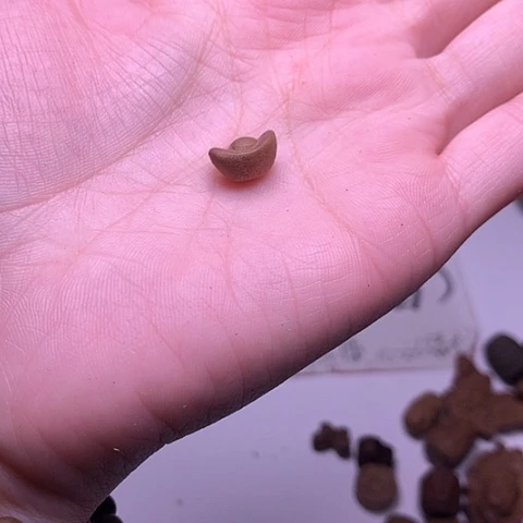 檀香木其他檀香小元宝