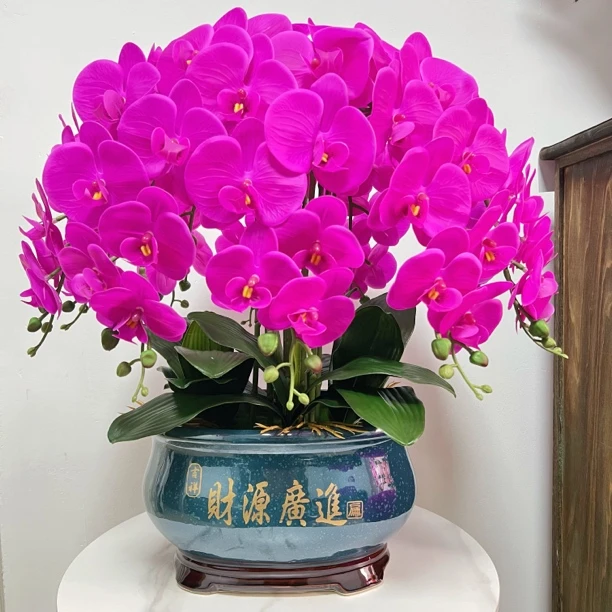 新款仿真软胶手感蝴蝶兰假花陶瓷花瓶插花花艺大盆田园风直播卖花