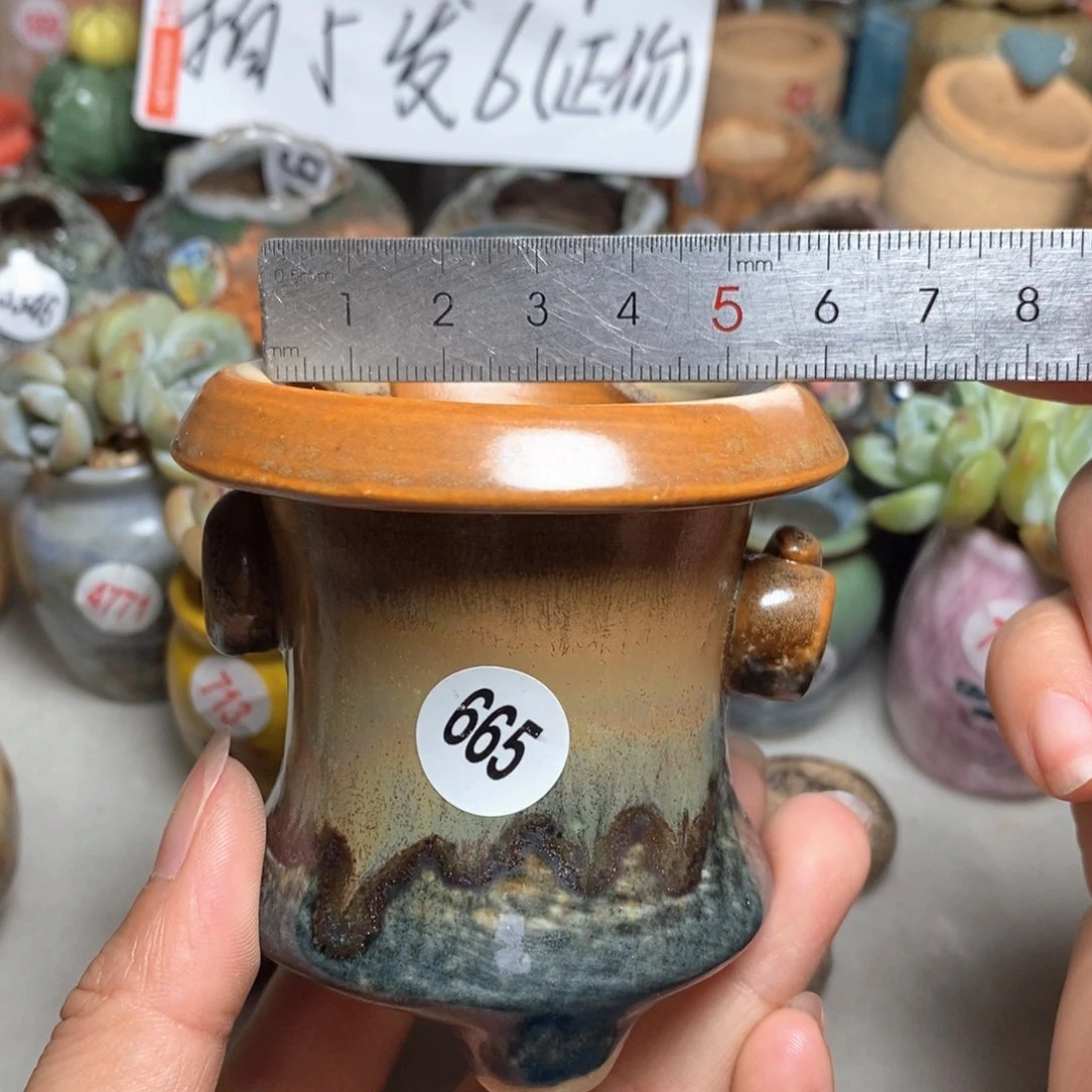 拍5送一个小礼物