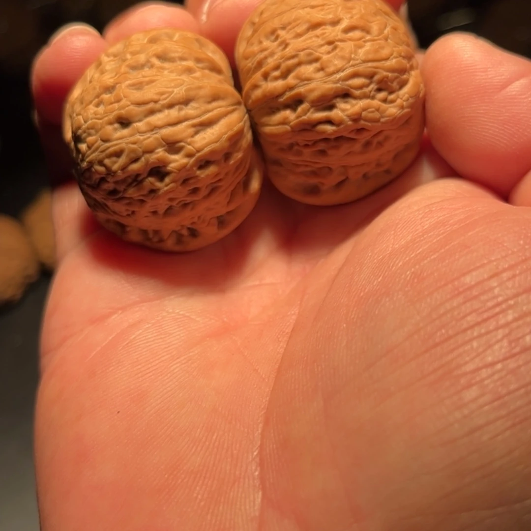 【闪购商品】做****己文玩核桃木制手把件