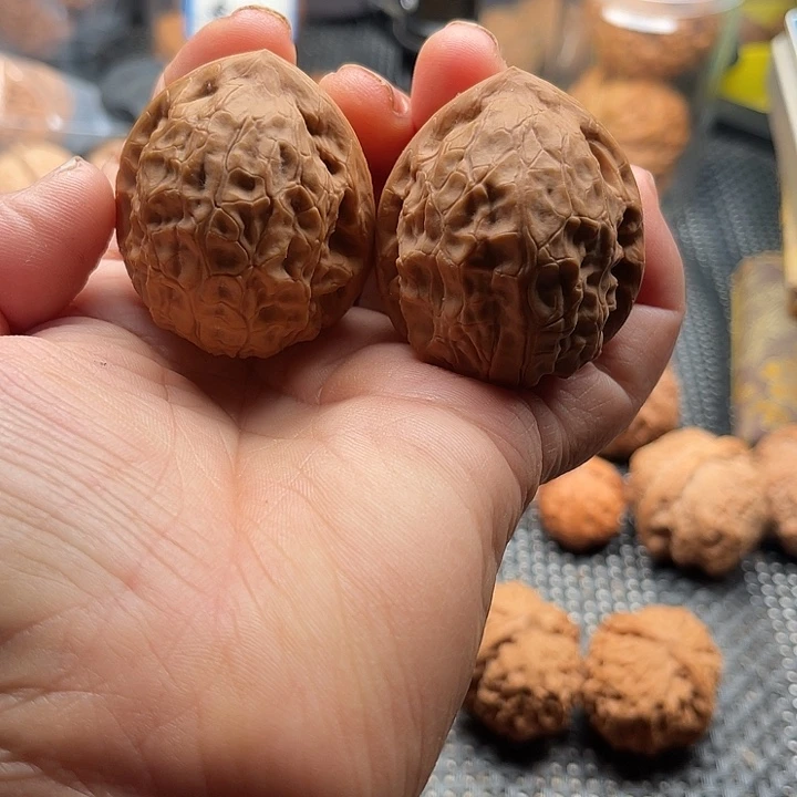 桃核把件穿山甲边39肚42