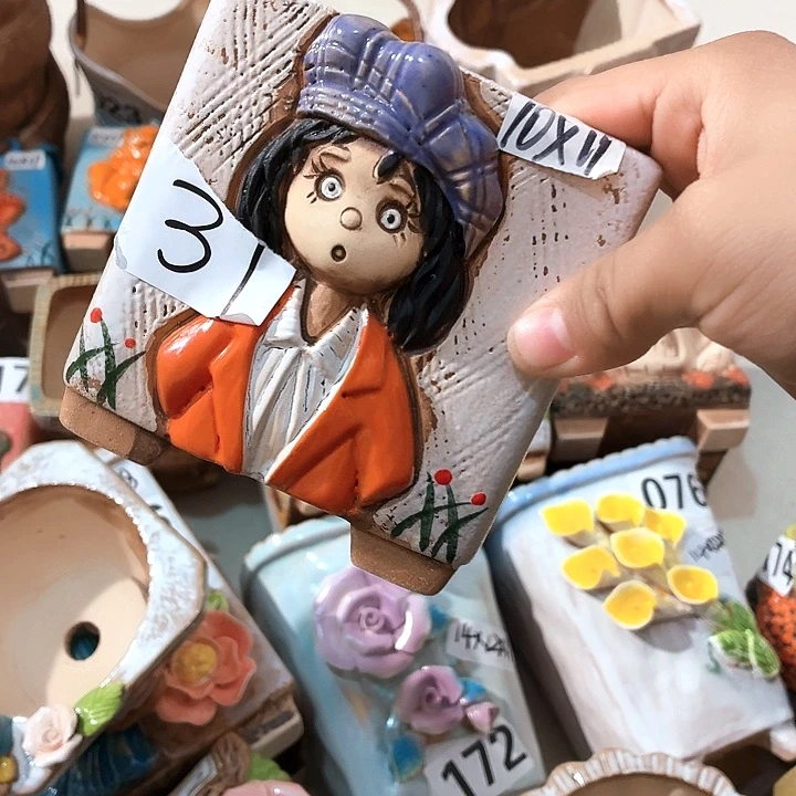 多肉花盆满15包邮