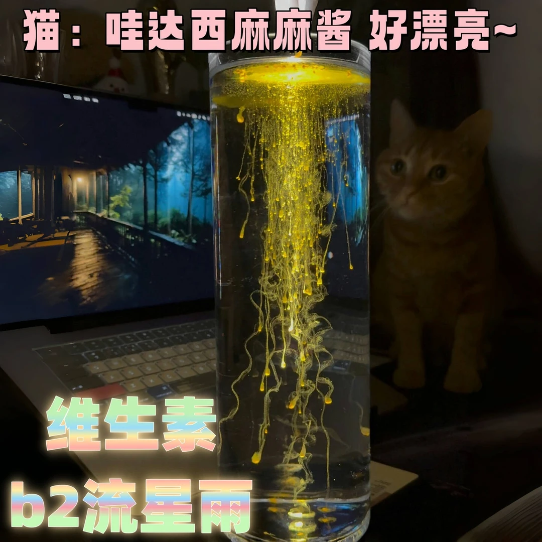 维生素b2流星雨玻璃瓶创意趣味科学实验网红爆款浪漫荧光流星瓶子