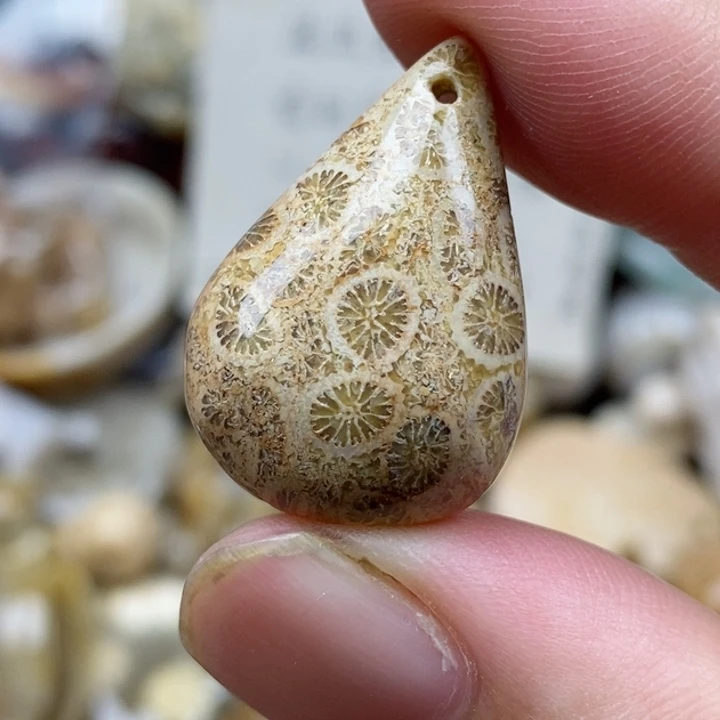 硅化珊瑚（珊瑚玉）未镶嵌颈饰小