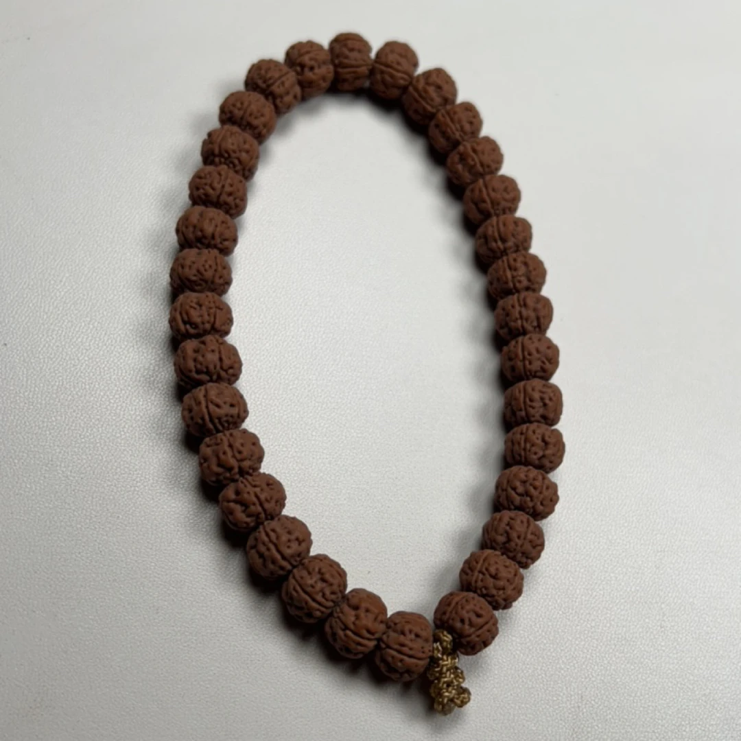 11尺寸老树王单圈，32颗籽