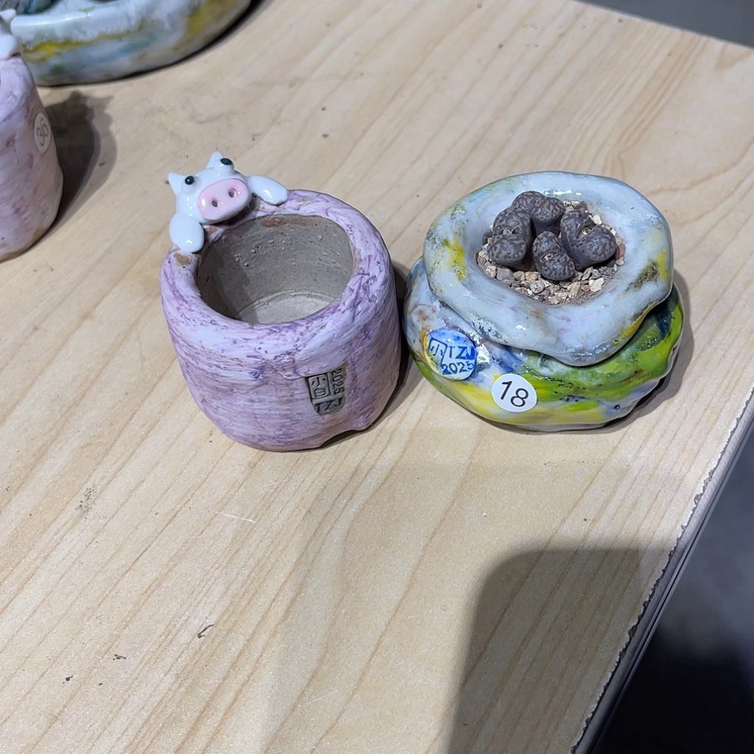 菜***姐两个小白孤品3-3.5