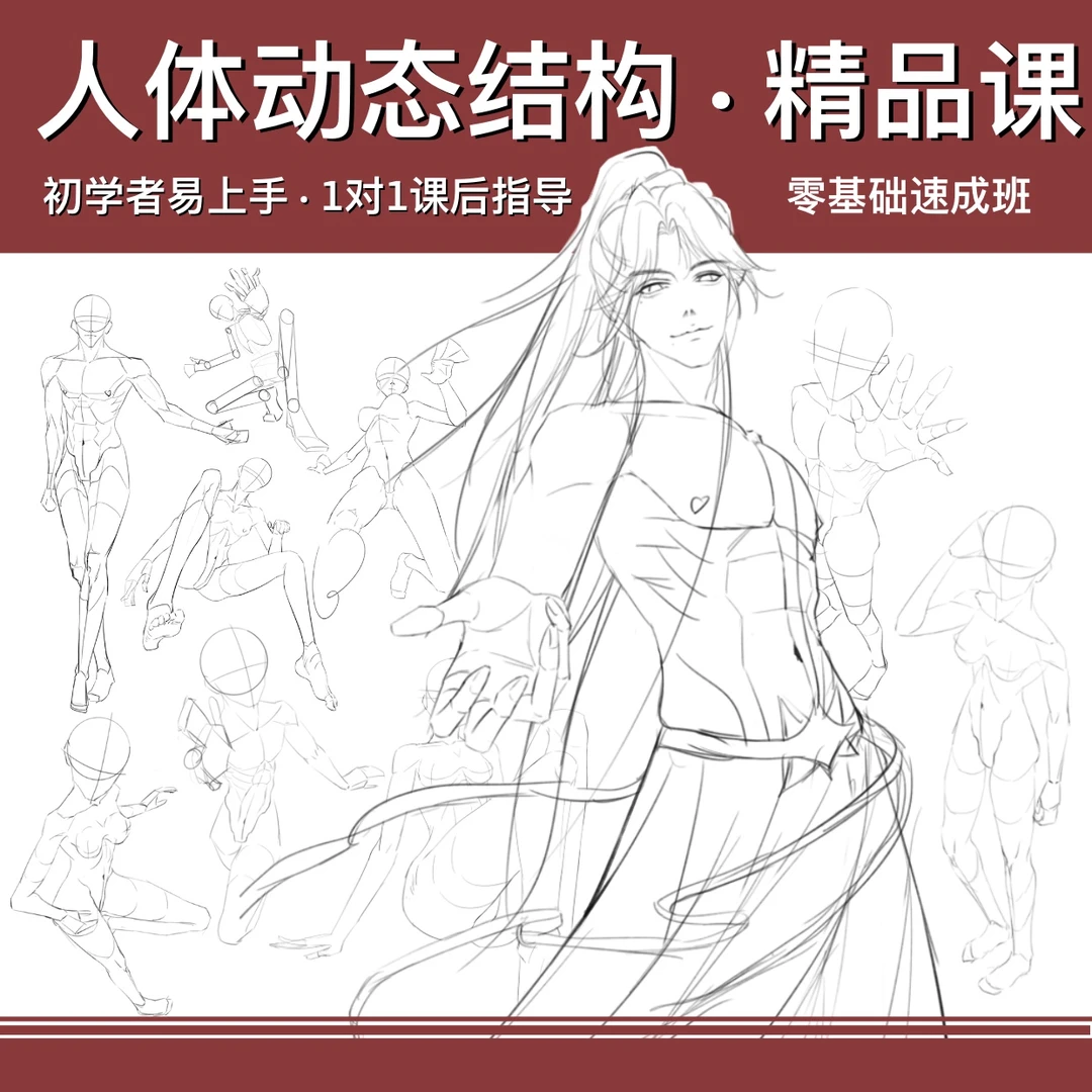 【零基础速成】人体动态结构精品课