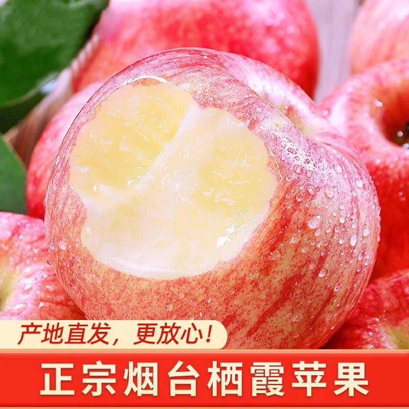 【2025年红富士苹果】霜降新果烟台产地现摘现发彩箱4.5斤