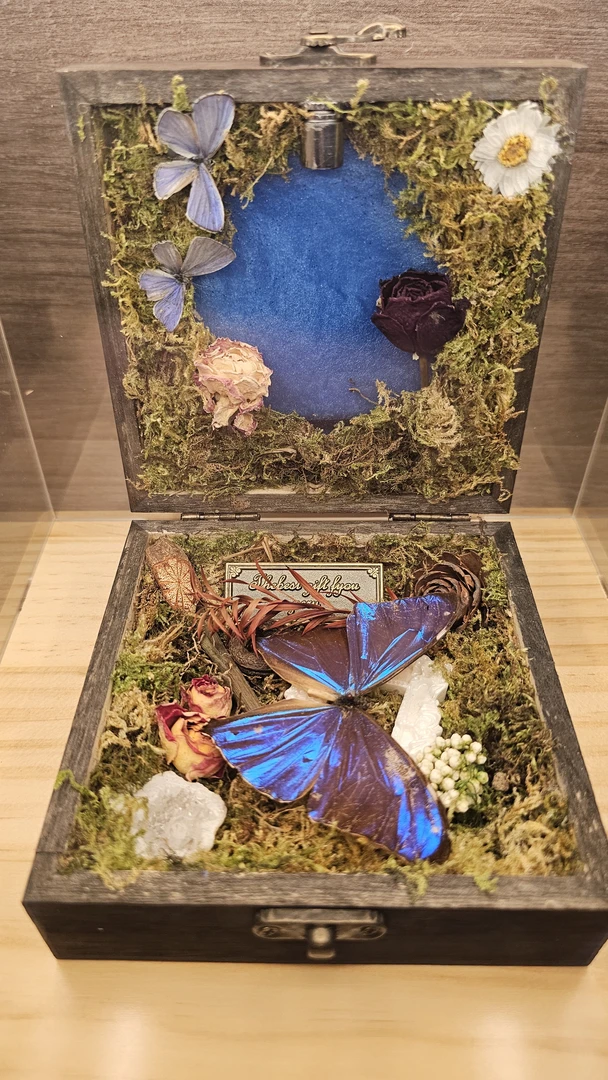 Haimiu艺术安东尼斯闪蝶真蝴蝶标本流麻盒子高档定制礼品混搭花束