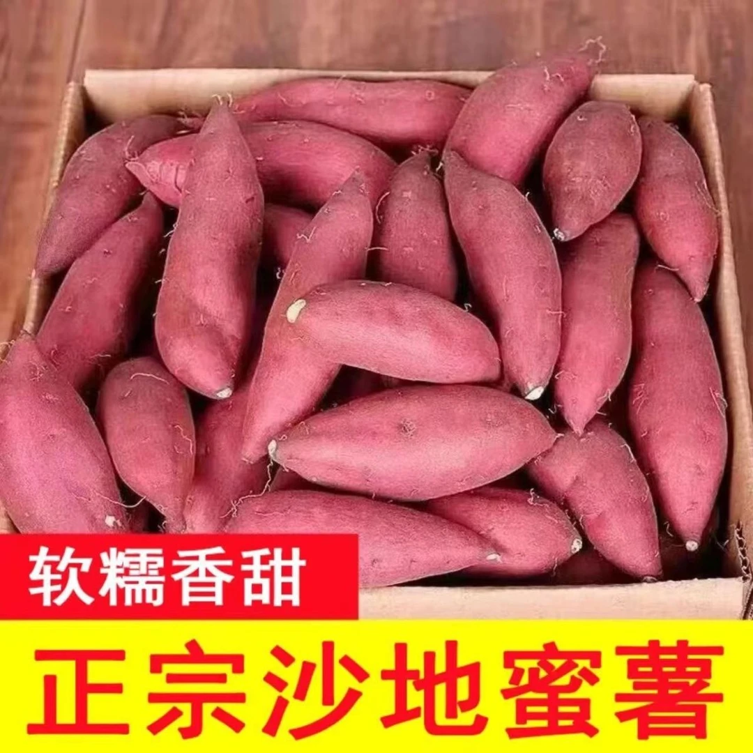 沙地蜜薯沙地红薯新鲜现挖红心地瓜番薯山芋蜜薯