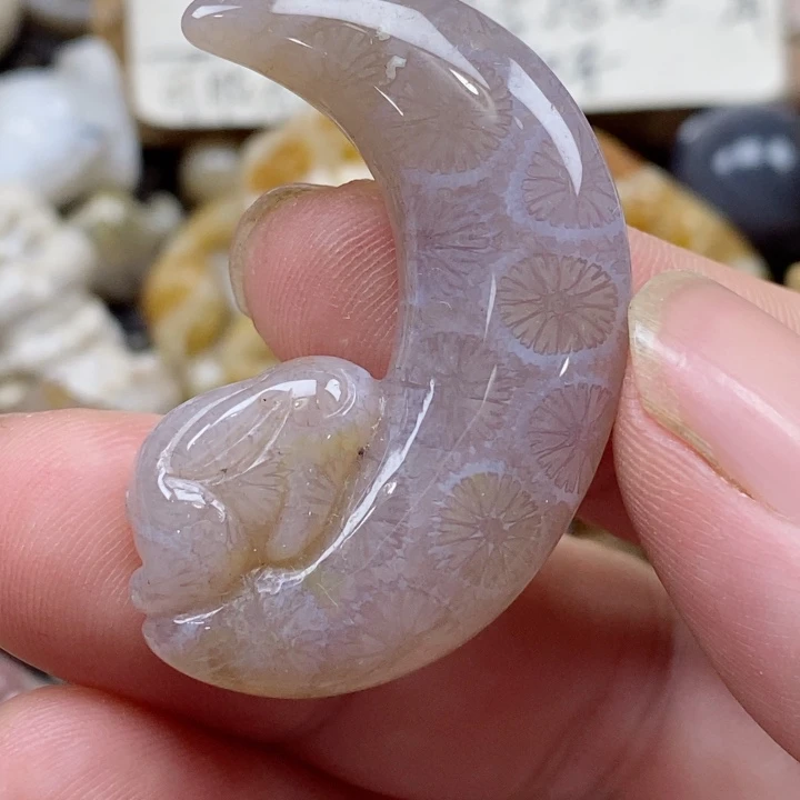 颈饰未镶嵌硅化珊瑚（珊瑚玉）