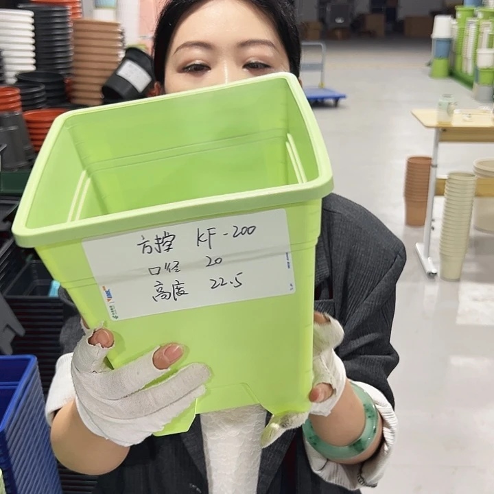 特价方盆口20高22果绿5只带托