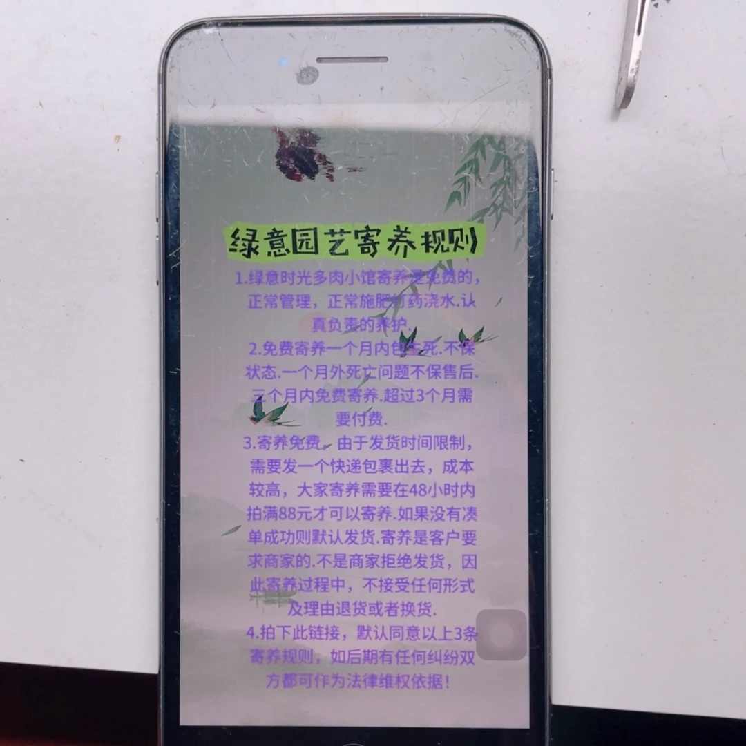 葵***绿意时光寄养链接