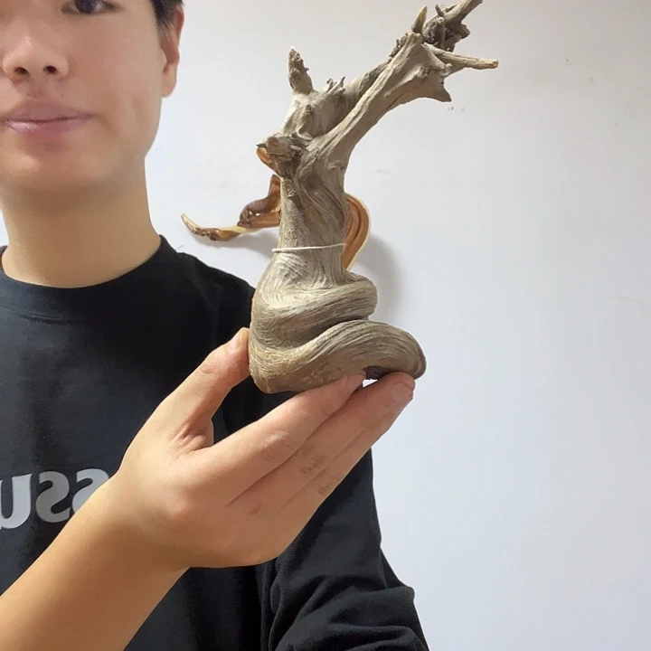 恭***财柏木我是李静如我一般不