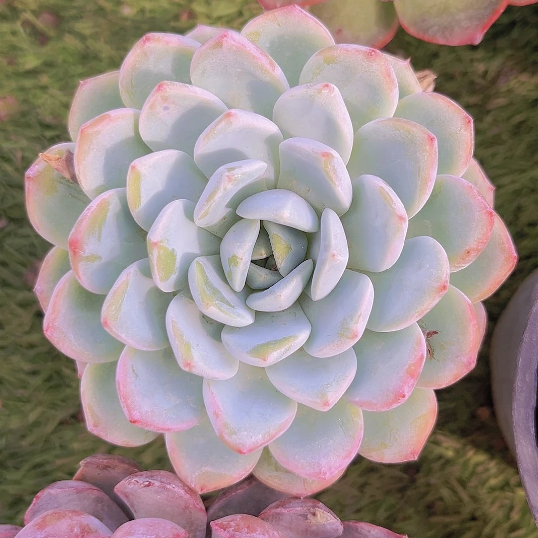 66666666666666666