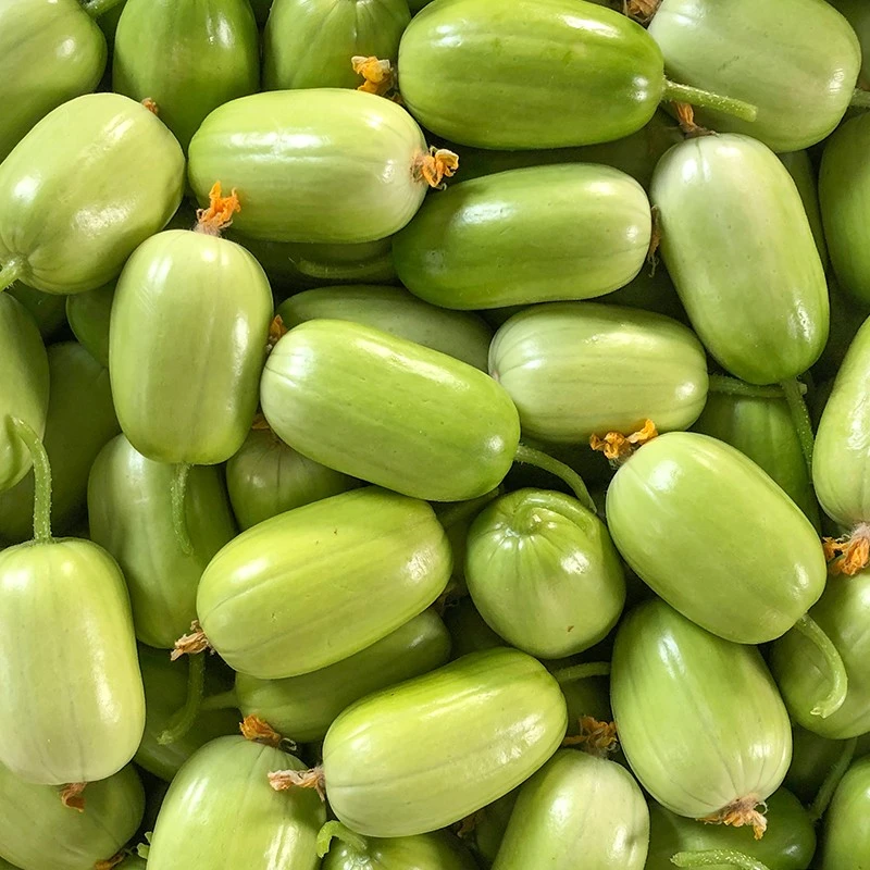 【满5包包邮】玉女水果黄瓜种子脆甜拇指小黄瓜种籽四季秋阳台盆