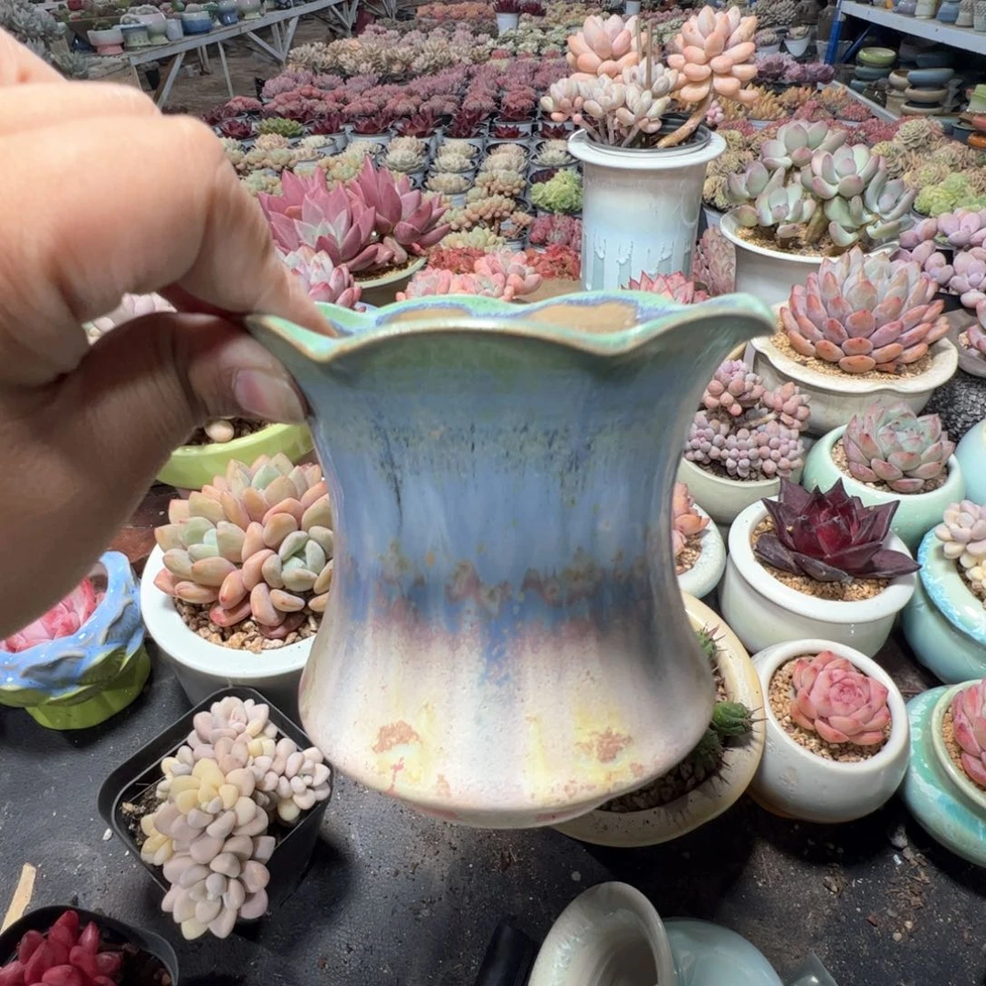 特价花盆满50发货 内口11