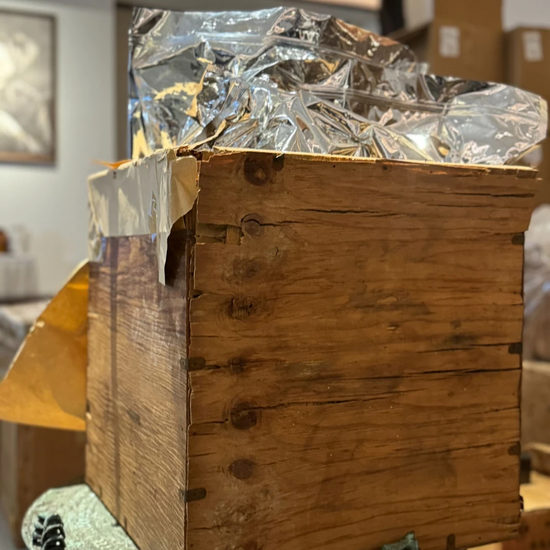 三叔白牡丹精品茶叶031