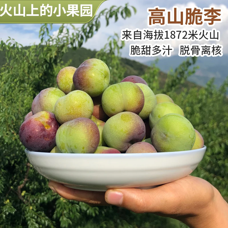 【半边红脱骨李】【脱骨脆甜】脱骨李子当季新鲜水果脆红李半边红