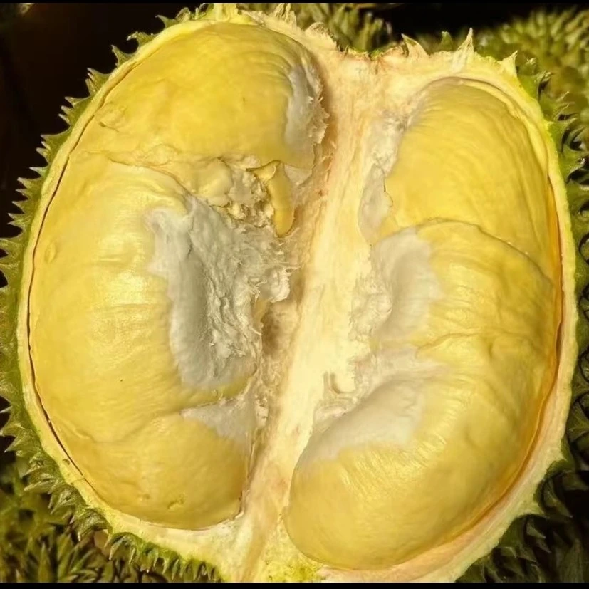 泰国金枕19.9/斤/新鲜榴莲/一果一重/核小榴莲同城送金枕泰国